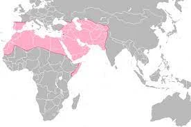 Expansión por el norte de África y el Atlántico