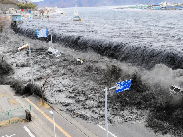 Tohoku Earthquake (Japan)