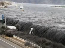 Tohoku Earthquake (Japan)