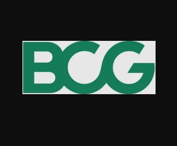 Project Leader & Consultant of the Boston Consulting Group (BCG)