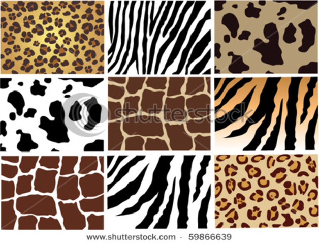 animal skins were fashion!