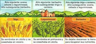 Lord Townshend introduce el Sistema Norfolk en la agricultura