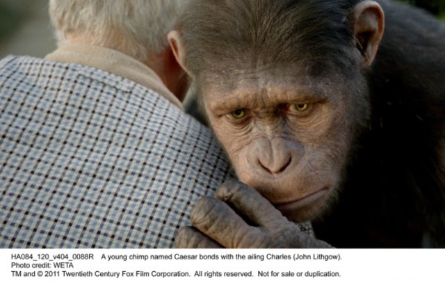 Rise Of the plannet of apes