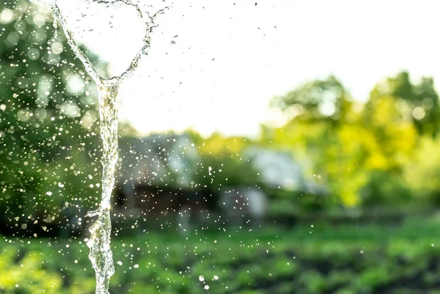 2018  Countdown to Crisis WWD - Nature of Water
