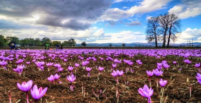 The kind of entrepreneurship that can be developed