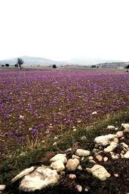 The kind of enterpreneurship that can be developed