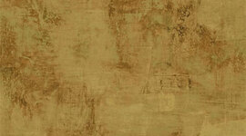 Timeline: North American History