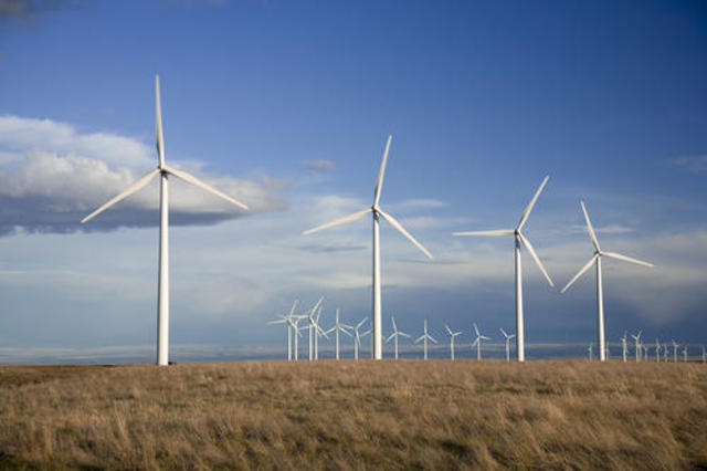 First Wind Farm