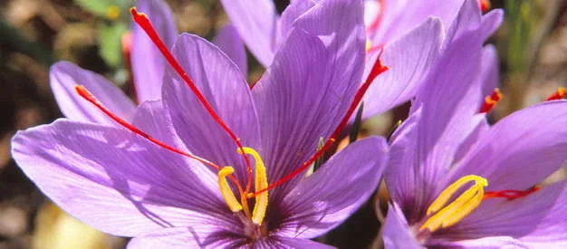 The kind of entrepreneurship that can be developed