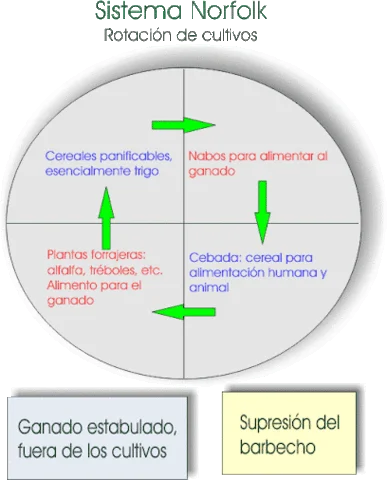 Lord Townshend introduce el Sistema Norfolk en la agricultura.