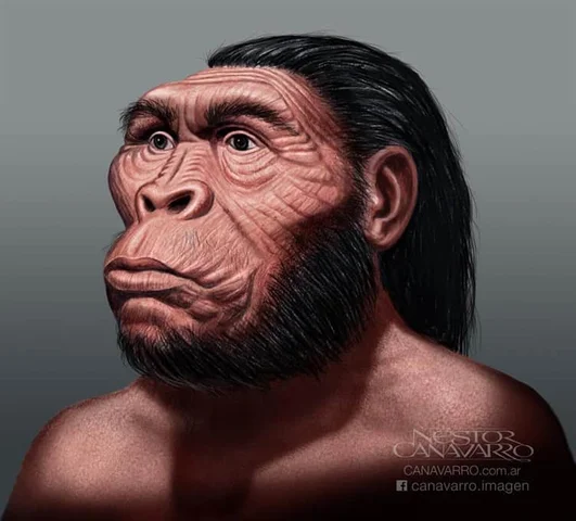 Aparición del Homo Sapiens Sapiens