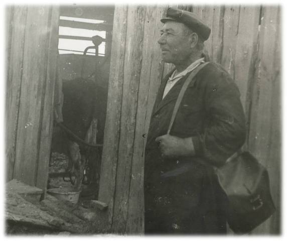 Ветеринарный врач