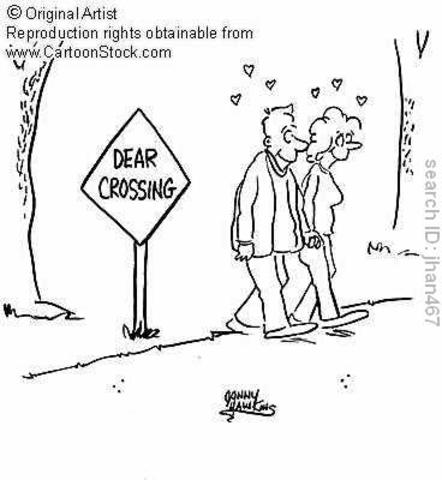 Try and find a girl to wifey up