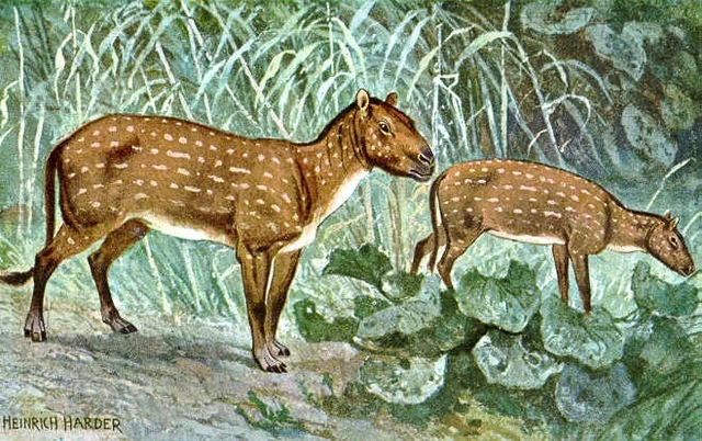 Paleogenoa