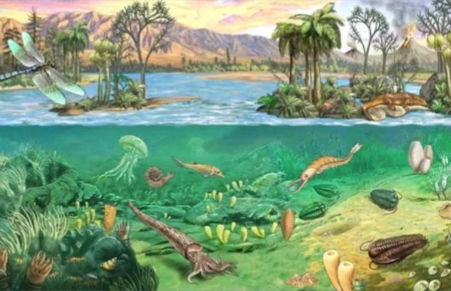 Devoniarra
