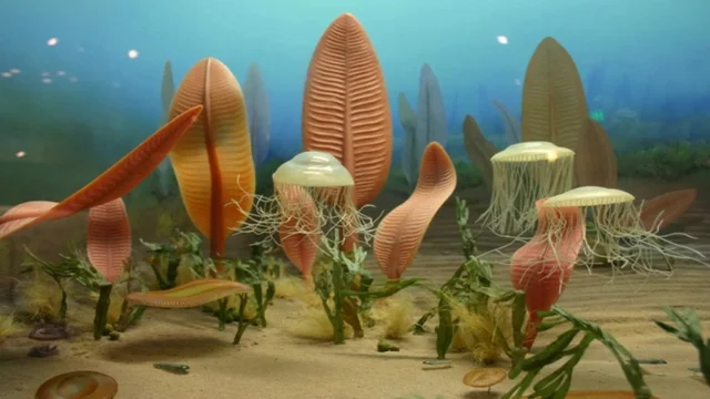 Mesoproterozoikoa
