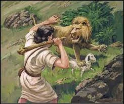 David Protecting Sheep