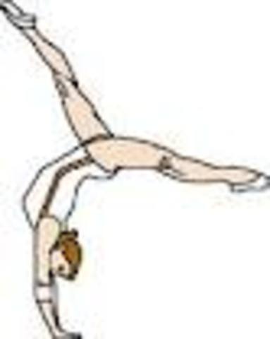 Gymnastics Competition