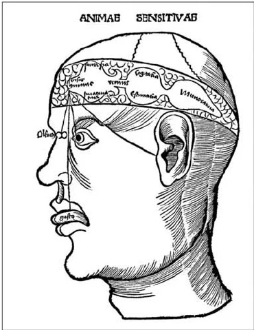 Medieval Europeans: Curiosity