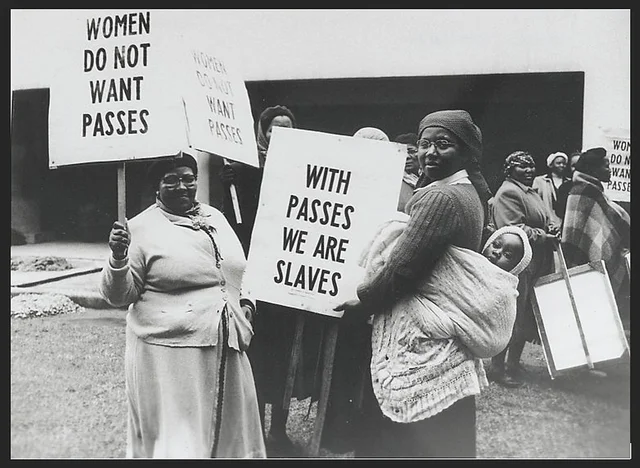 Entra en vigor la Ley del Pase