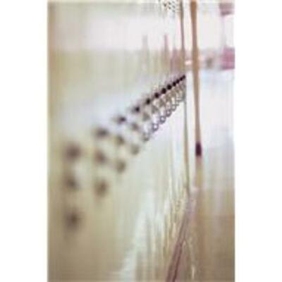 Timeline: 100 Days of School