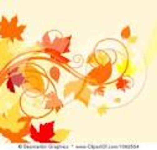 Park Day & Fall Social