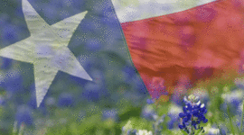 Timeline: My Terific Texas Timeline