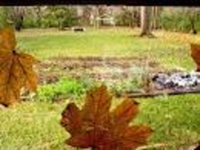 End of ThanksGiving Break