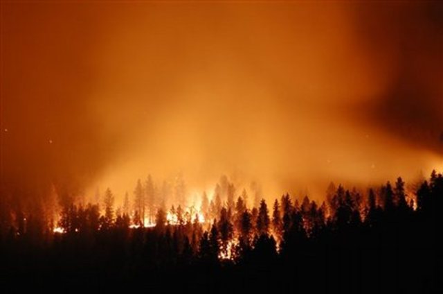 wildfires