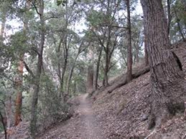 Santa Anna Burns Harrisburg