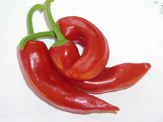 México copió y sufrió