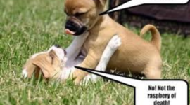 Timeline: Rain-Skye Reading 2012