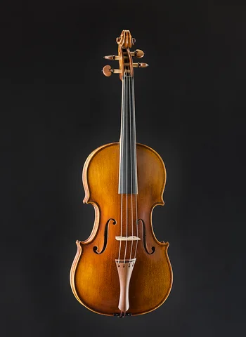 Violín