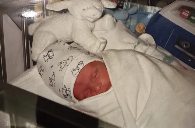 Prenatal development and birth