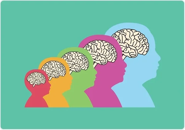 Brain and Neuron formation
