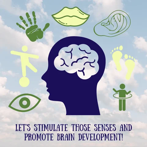Sensory Development (Birth to 6 Months)
