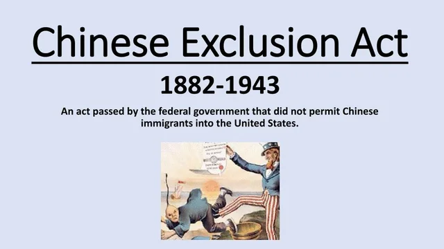 Chinese Immigrants