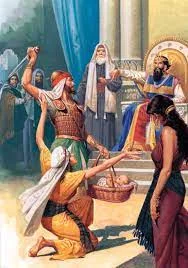 Solomon's Wisdom