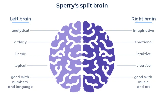 Brain triples in weight