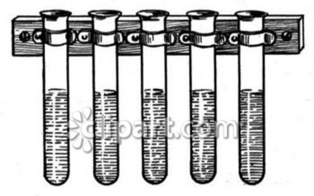 Mr.T subed for science