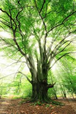 Environemental Restoration and Waste Management