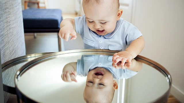 Cognitive Development