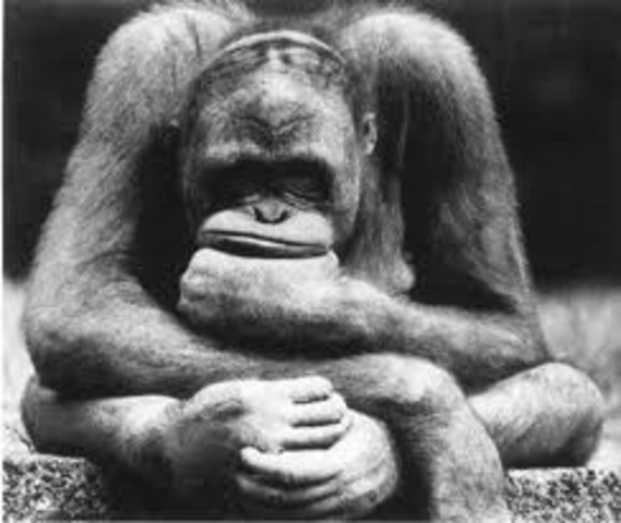 Thinking about creating blogs