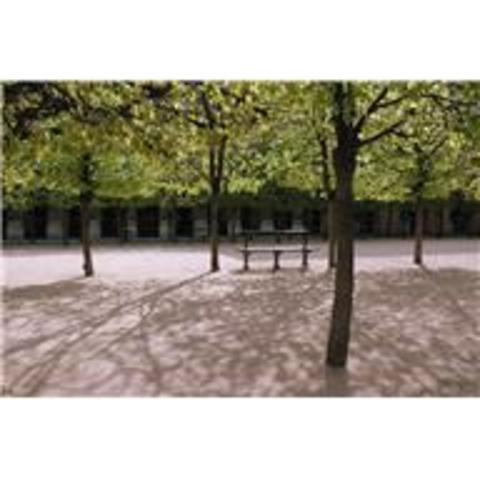 Park Day and Fall Social