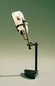 le microscope de Van Leeuwenhoek