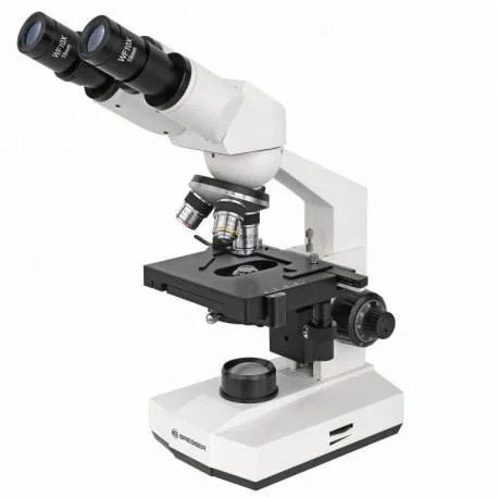 microscope binoculaire