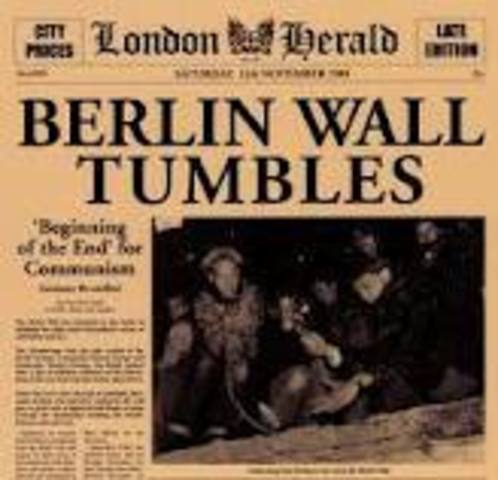 Berlin Wall collapses