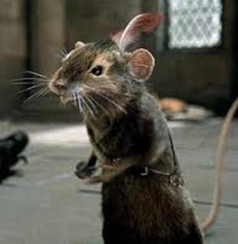 Turn in Second Blog Post: Heroes in Literature