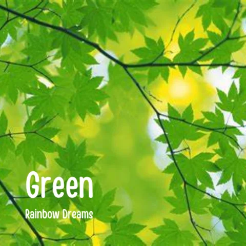Rainbow Dreams relesed a first single, called Green
