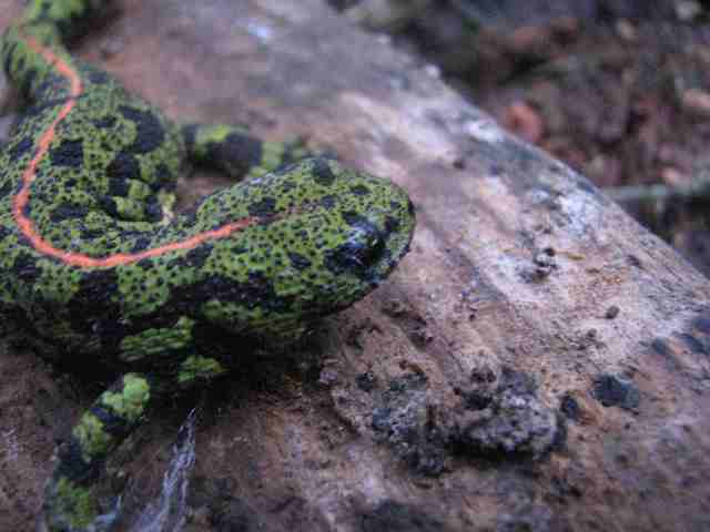 Début de la phase d'élaboration du DOCOB